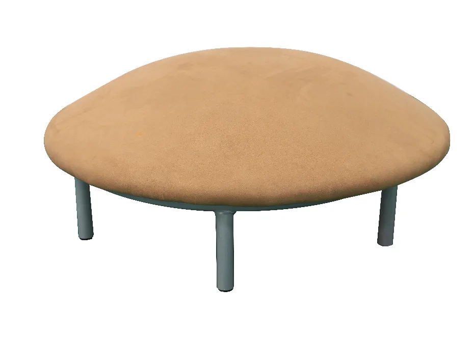 Turnpaddenstoel